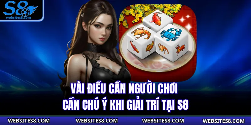 Vài điều cần người chơi cần chú ý khi giải trí tại S8